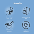 Icon set: person holding thermometer, mortar and pestle, shield with virus, and text about benefits